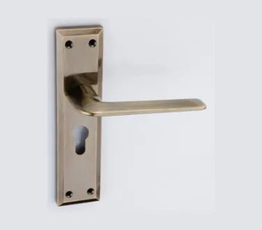 7123 - Main Door Lock